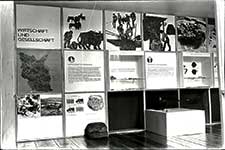 Ausstellung des Museums fr Ur- und Frhgeschichte Potsdam im Schlo Babelsberg 1966/67